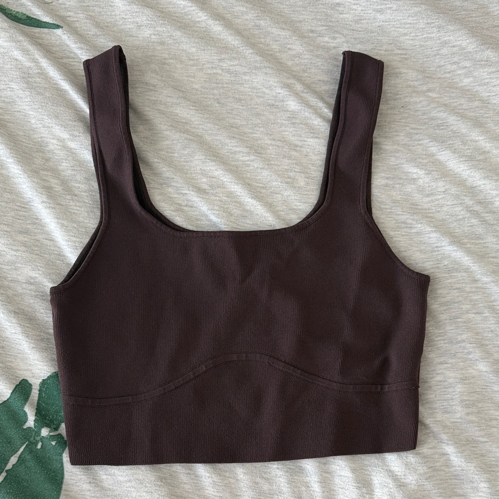 Glassons Dark Brown Crop Top